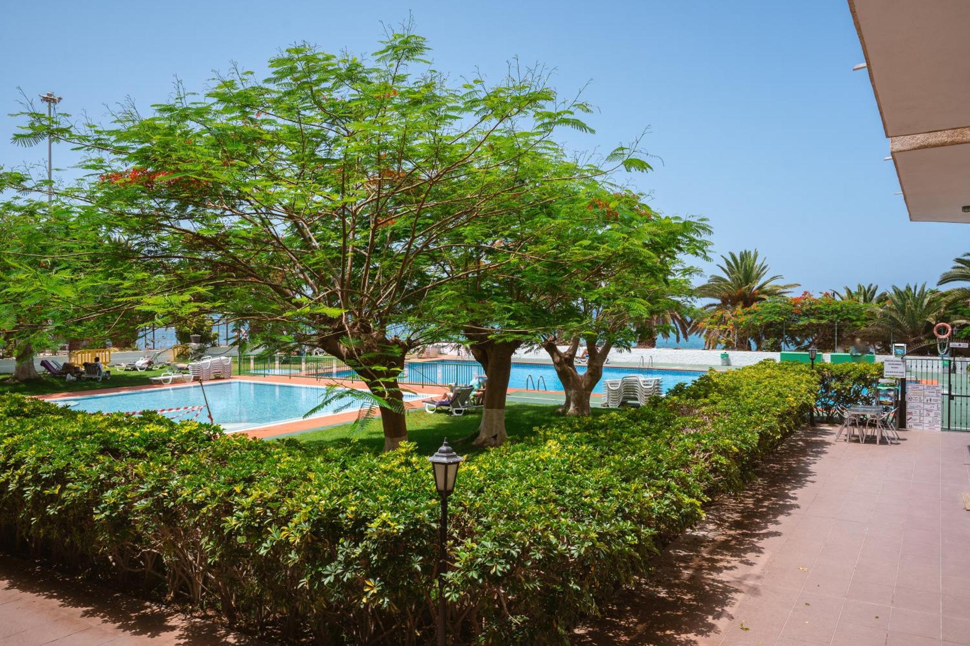 Go2Tenerife Apart'Dida Pool & First Line Of The Sea Los Cristianos  Buitenkant foto